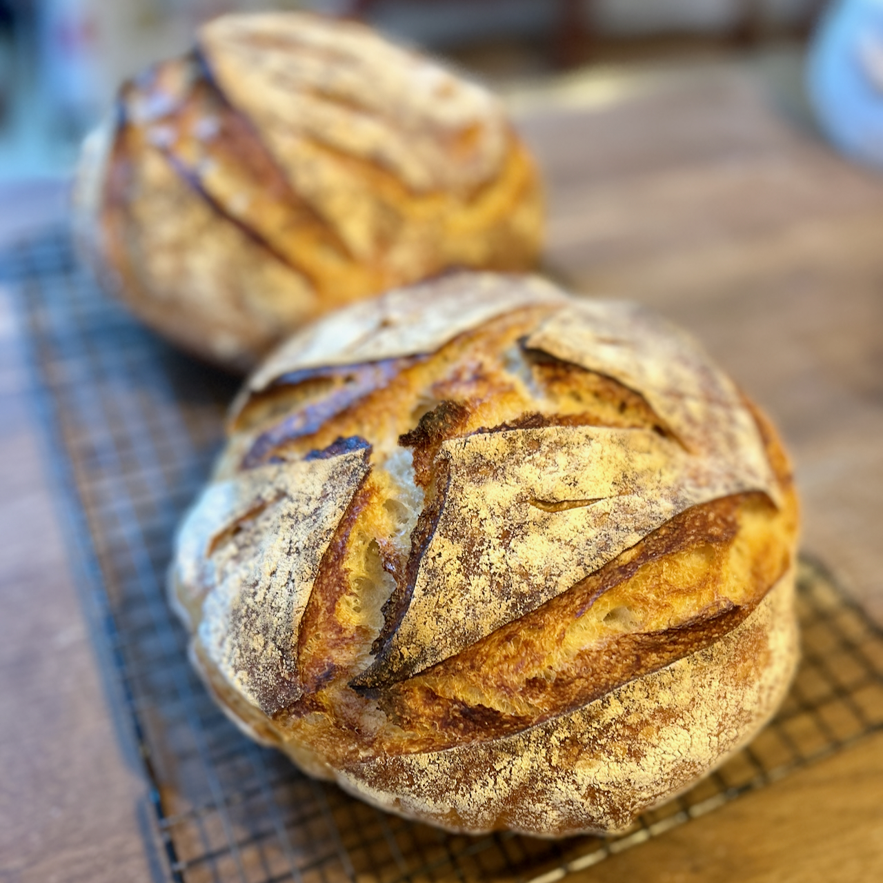 Sourdough... 