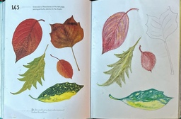 sketchbook-05.jpg